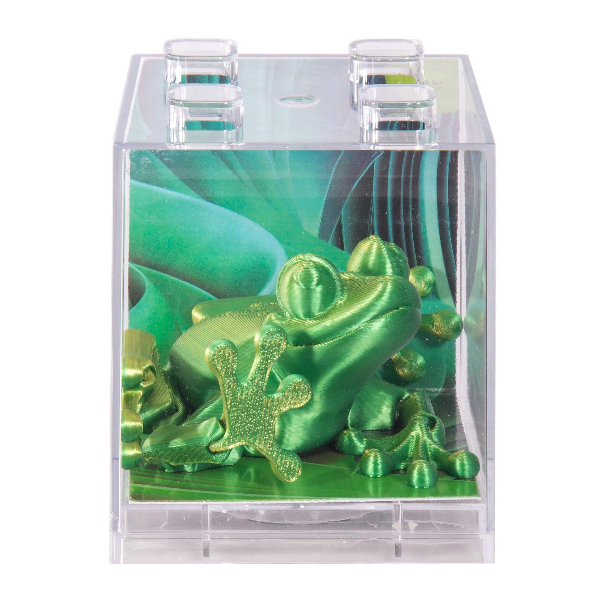 3D Sensory Frog