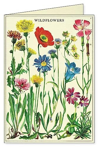 Wildflowers Boxed Note Cards