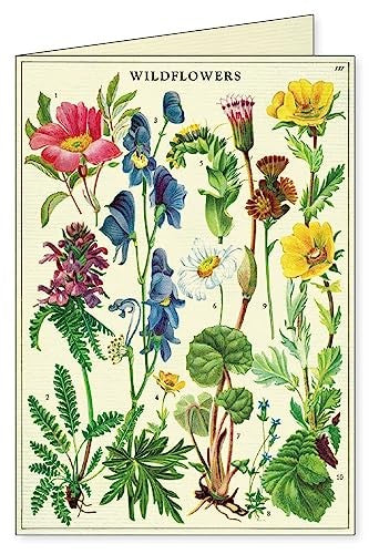 Wildflowers Boxed Note Cards