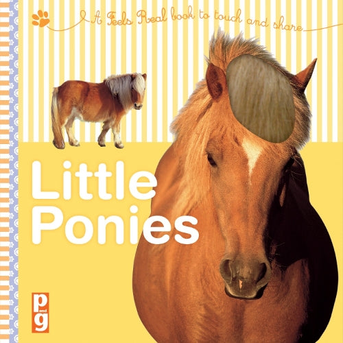 Little Ponies: a Feels Real Book to Touch and Share