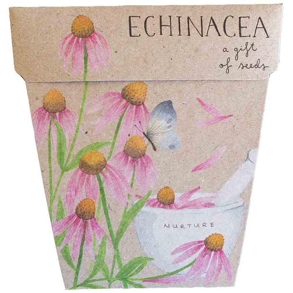 Sow N Sow Gift of Seeds - Echinacea