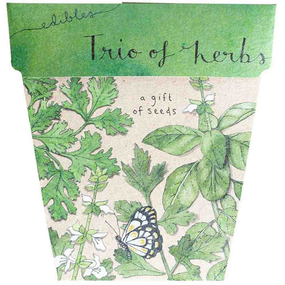 Sow N Sow Gift of Seeds - Trio of Herbs