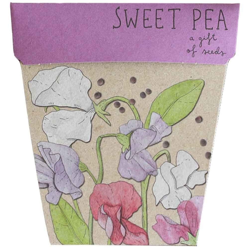 Sow N Sow Gift of Seeds - Sweet Pea