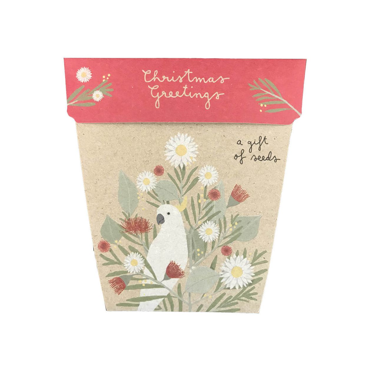 Sow n Sow Australian Christmas Gift of Seeds Daisies