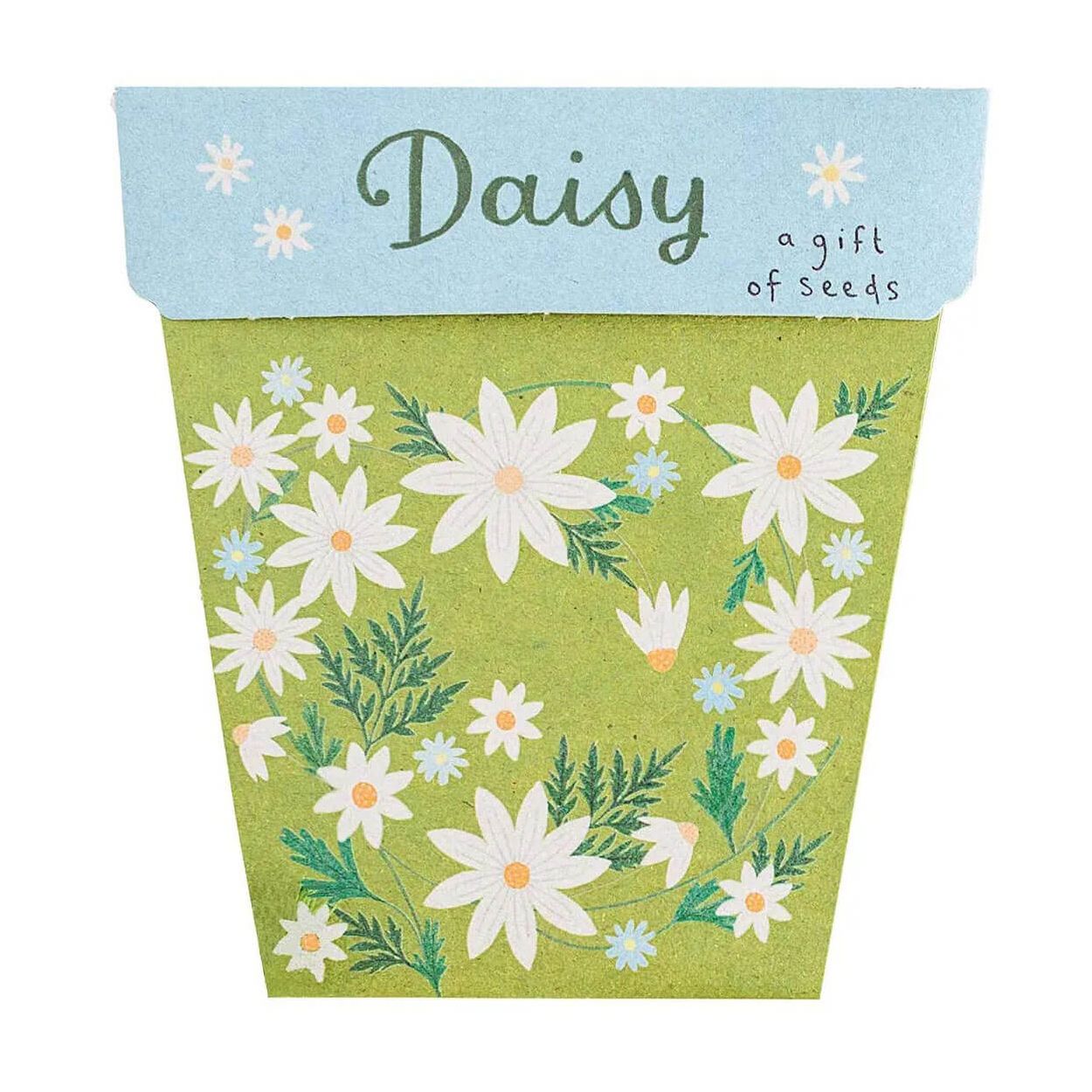 Sow N Sow Gift of Seeds Daisy