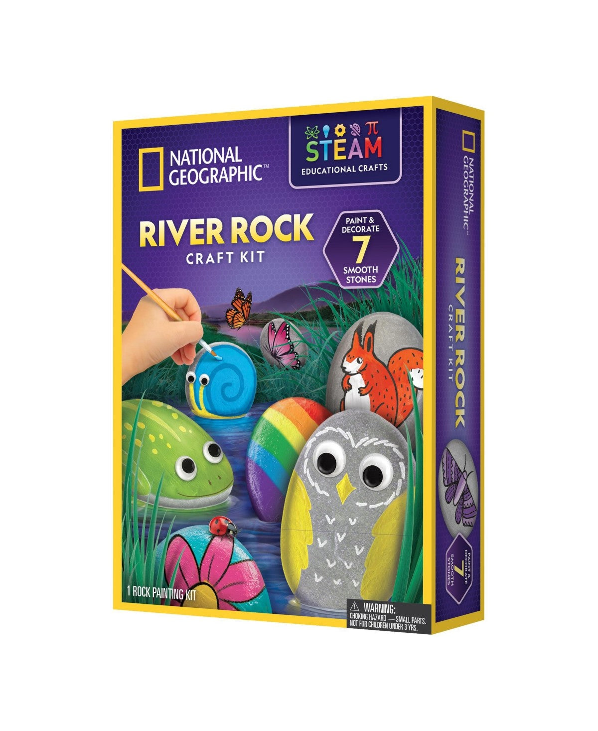 Kids' National Geographic Rock Painting Activity Kit