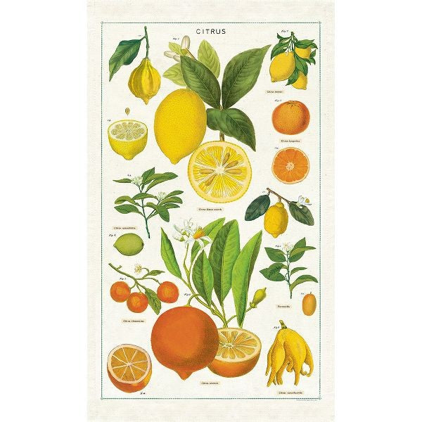 Vintage Citrus Tea Towel