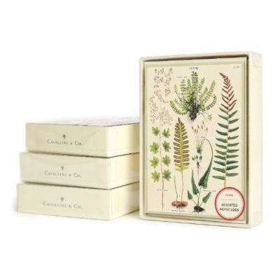 Ferns Note Card Set