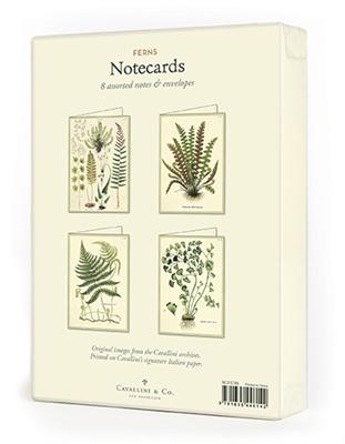 Ferns Note Card Set