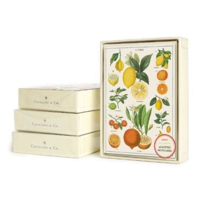 Citrus Note Card Set