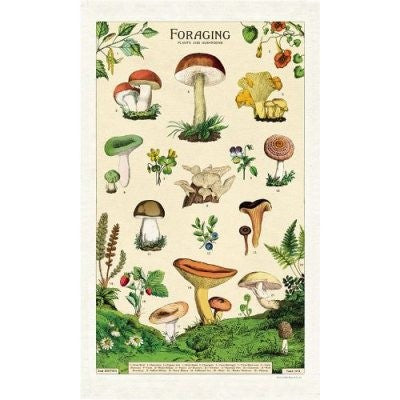 Vintage  Foraging Tea Towel Cavalini