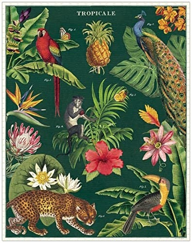 Cavallini 1000 Piece Puzzle, Tropicale (PZL/TROP)