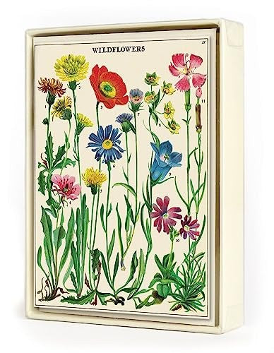  Wildflowers Boxed Note Cards