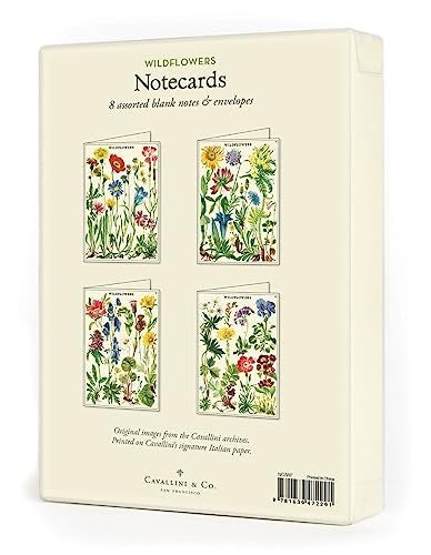  Wildflowers Boxed Note Cards