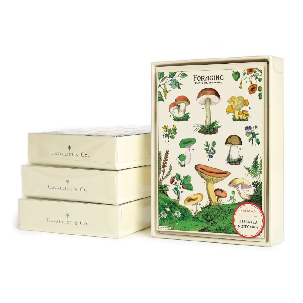 Foraging Note Card Set