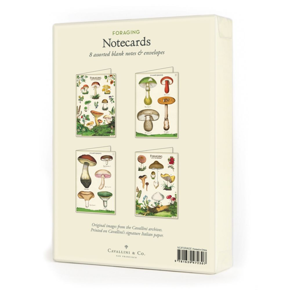 Foraging Note Card Set