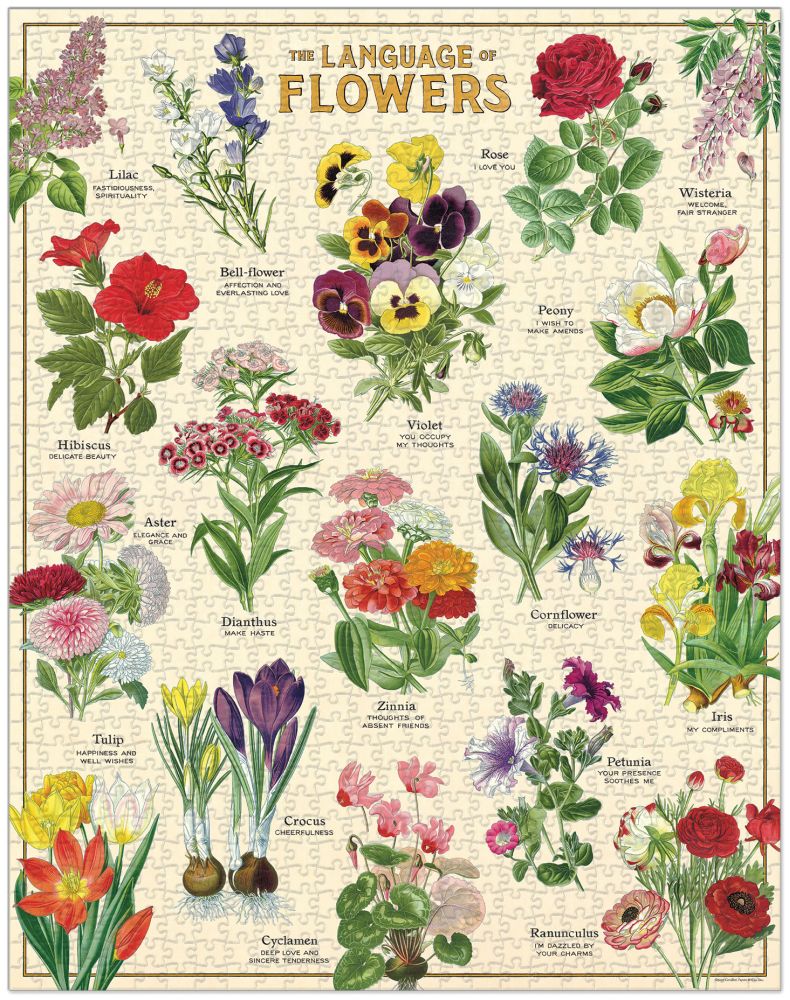 Cavallini Papers & Co. 1,000 PIECE Puzzle, Language OF FLOWERS 